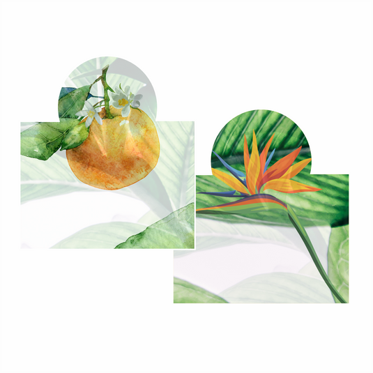 Cartão Boas-vindas LARANJEIRAS