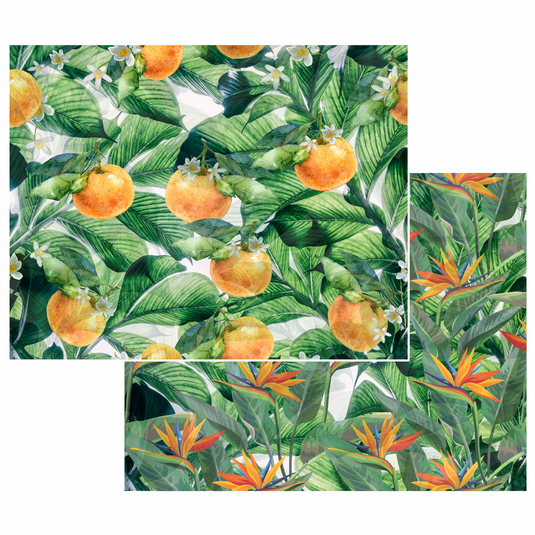 Jogo Americano LARANJEIRAS