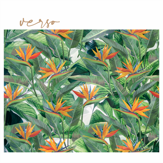 Jogo Americano LARANJEIRAS